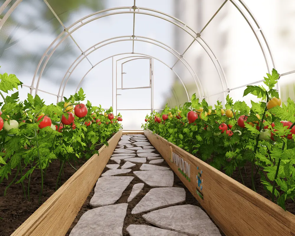 Greenhouse café, Maimoon Gardens, developer render
