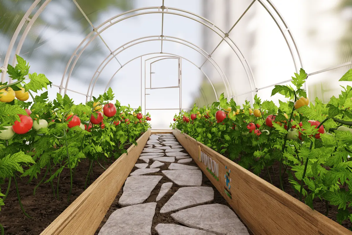 Path through the hydroponic greenhouse with vegetable beds, developer render